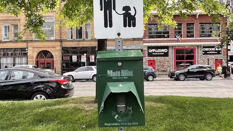 Cadillac Square Dog Park - Detroit,