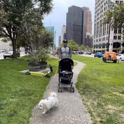 Cadillac Square Dog Park - Detroit,