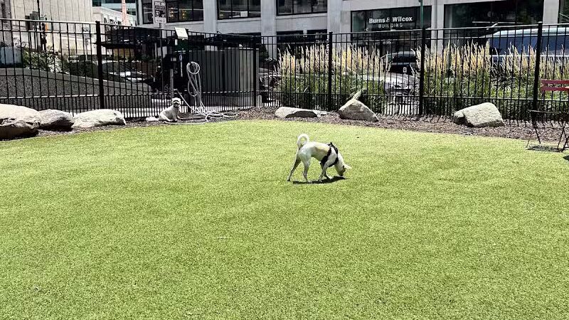 Capitol Park Dog Park - Detroit,