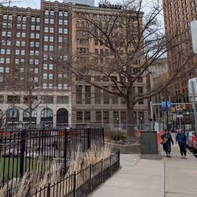 Capitol Park Dog Park - Detroit,