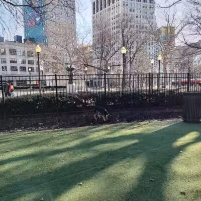 Capitol Park Dog Park - Detroit,