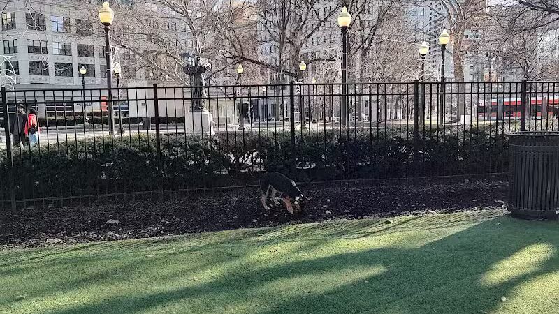 Capitol Park Dog Park - Detroit,
