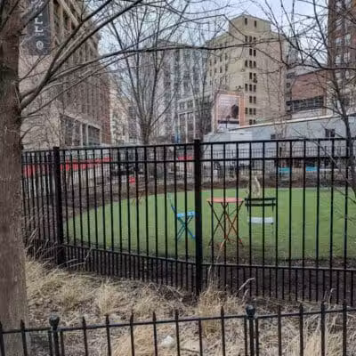 Capitol Park Dog Park - Detroit,