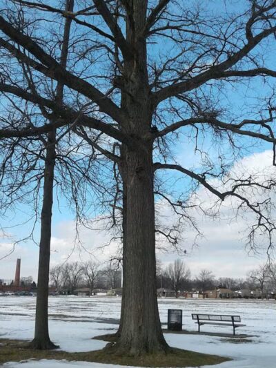 Comstock Playground - Detroit,