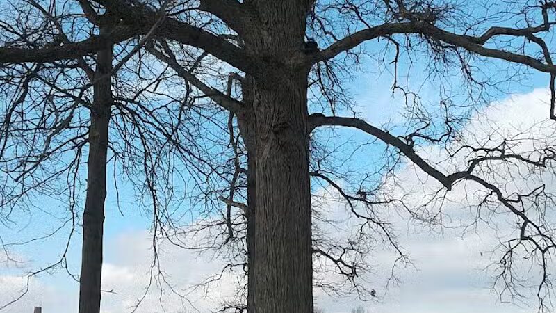 Comstock Playground - Detroit,