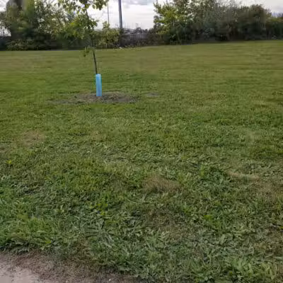 Corrigan Park - Detroit,