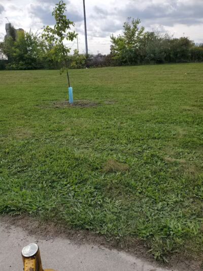 Corrigan Park - Detroit,