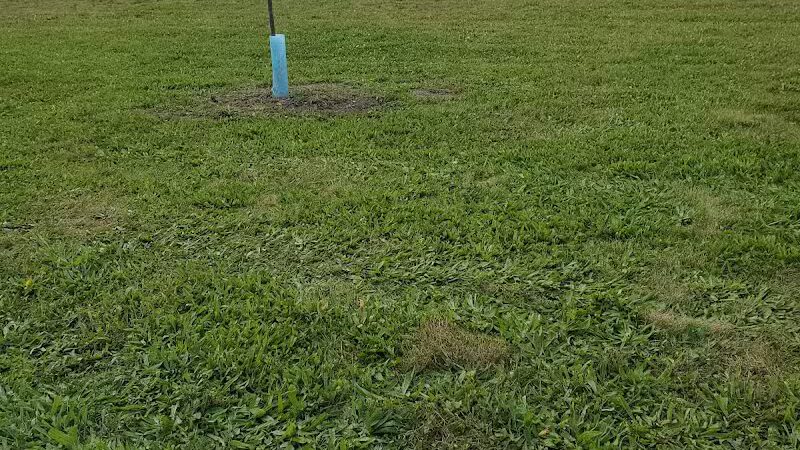 Corrigan Park - Detroit,