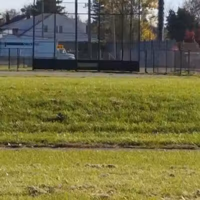 Corrigan Park - Detroit,