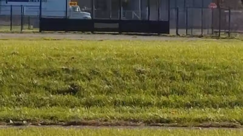 Corrigan Park - Detroit,