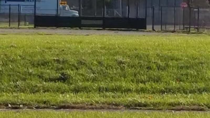 Corrigan Park - Detroit,