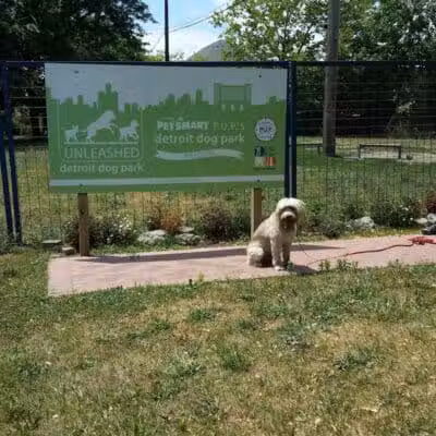 Detroit Dog Park - Detroit,