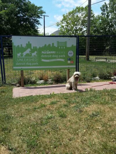 Detroit Dog Park - Detroit,
