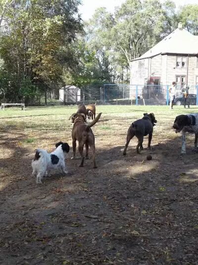 Detroit Dog Park - Detroit,