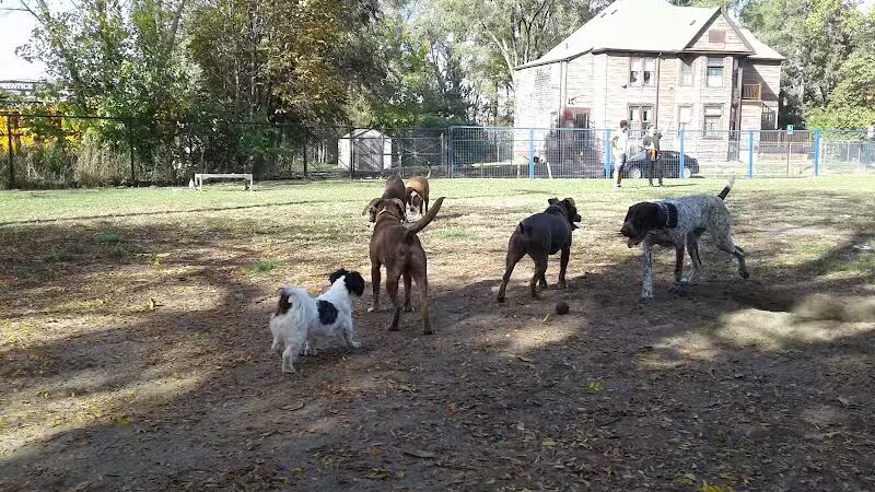 Detroit Dog Park - Detroit,