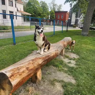 Detroit Dog Park - Detroit,