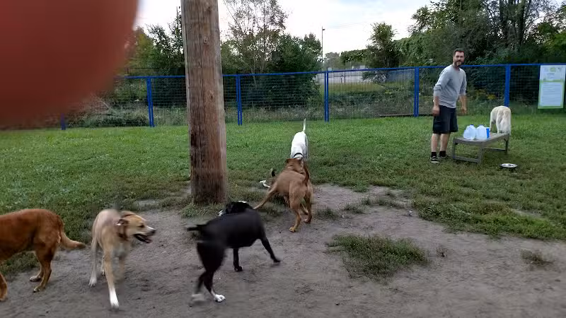 Detroit Dog Park - Detroit,