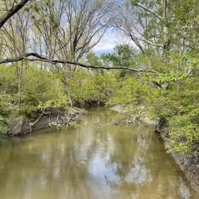 Eliza Howell Park - Detroit,