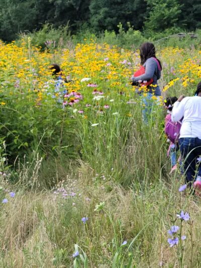 Eliza Howell Park - Detroit,