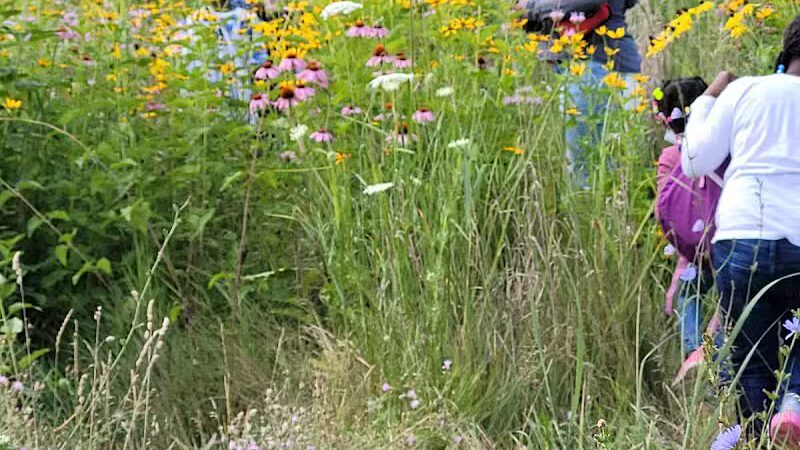 Eliza Howell Park - Detroit,