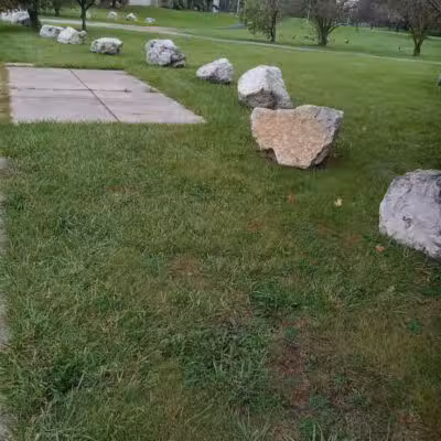 Elmwood Central Park - Detroit,