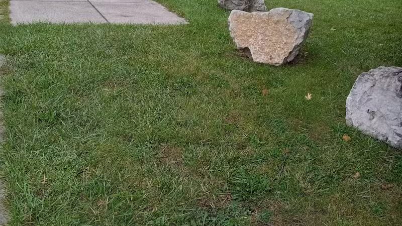 Elmwood Central Park - Detroit,