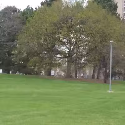 Elmwood Central Park - Detroit,