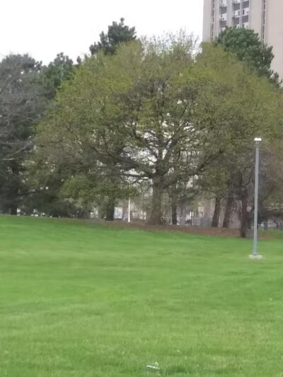 Elmwood Central Park - Detroit,