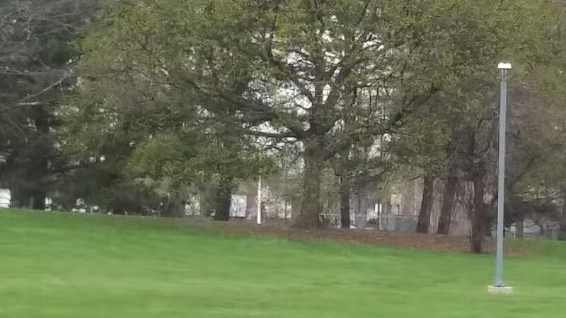 Elmwood Central Park - Detroit,