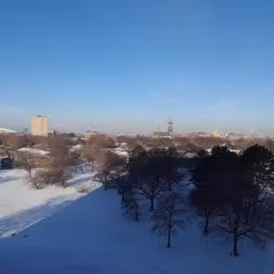 Elmwood Central Park - Detroit,