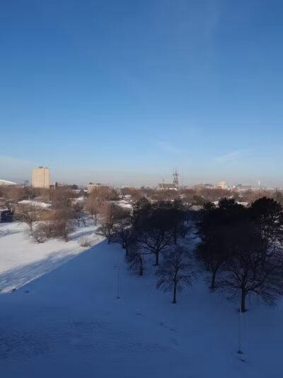 Elmwood Central Park - Detroit,