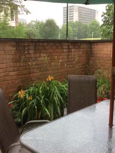 Elmwood Central Park - Detroit,