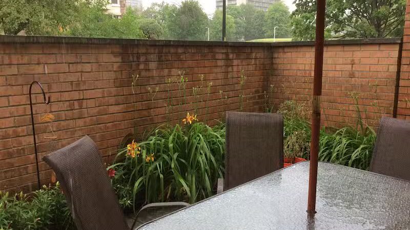 Elmwood Central Park - Detroit,