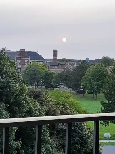 Elmwood Central Park - Detroit,