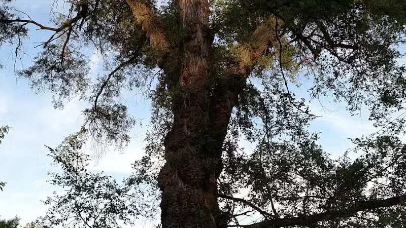 Fargo-Fenton Playground - Detroit,