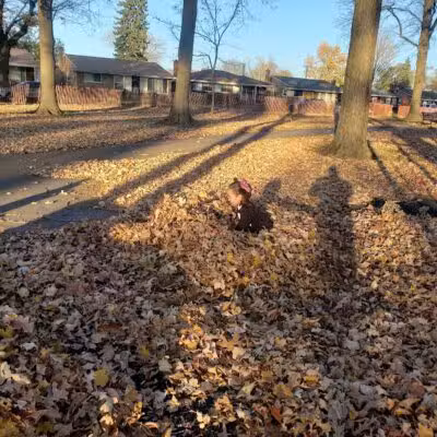 Fargo-Fenton Playground - Detroit,