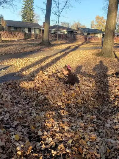Fargo-Fenton Playground - Detroit,