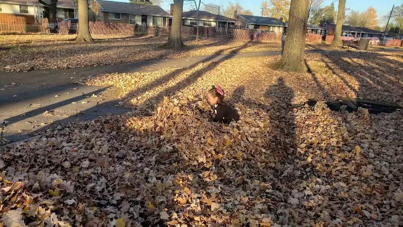 Fargo-Fenton Playground - Detroit,