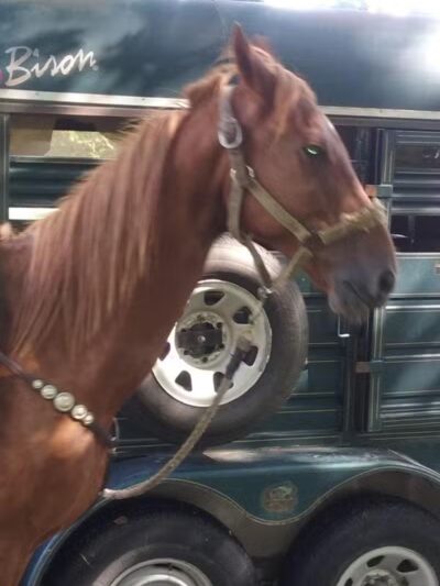 Farwell Park - Detroit,