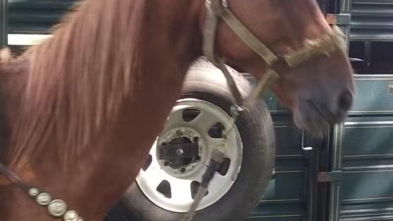 Farwell Park - Detroit,