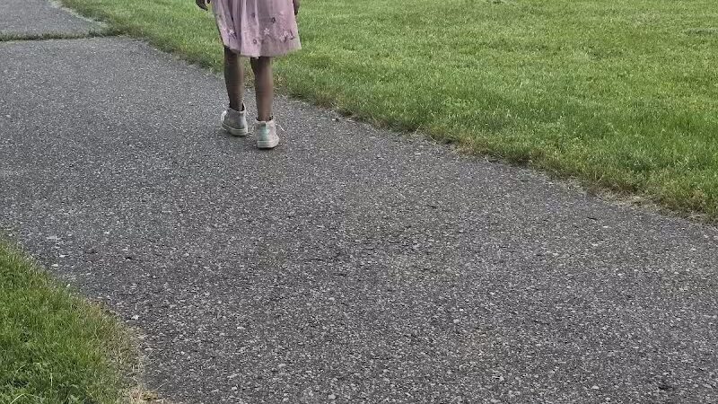 Fields Park - Detroit,