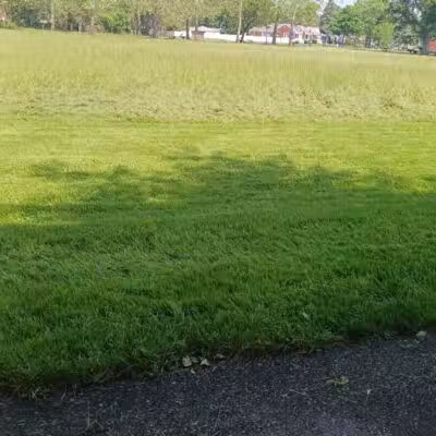 Fields Park - Detroit,