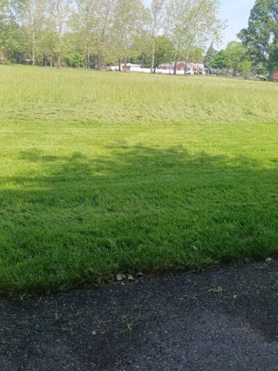 Fields Park - Detroit,