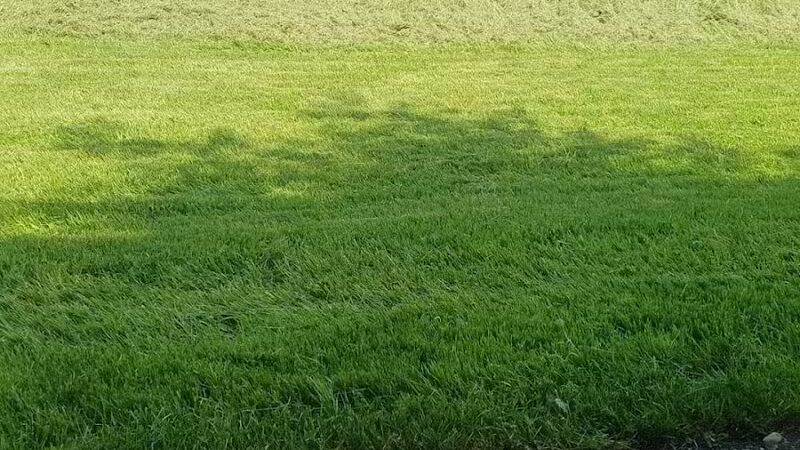 Fields Park - Detroit,