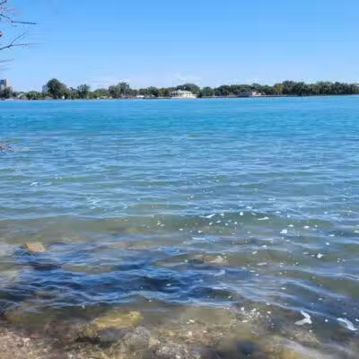 Hipster Beach - Detroit,