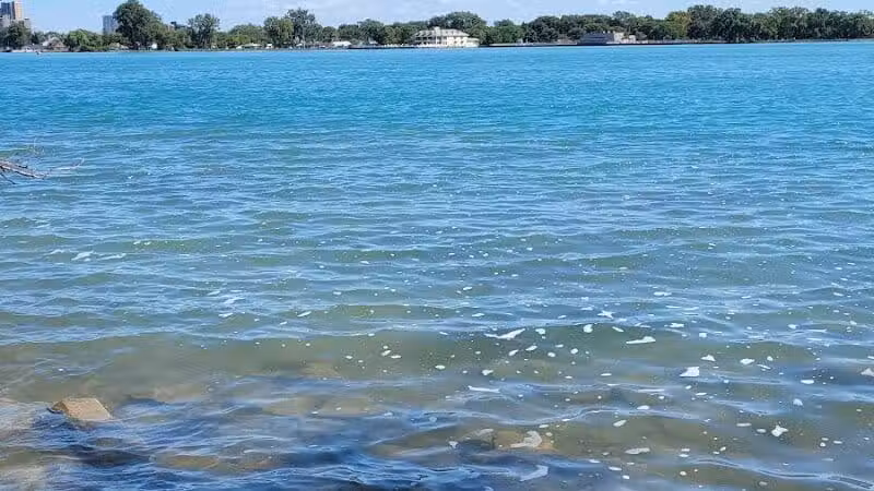 Hipster Beach - Detroit,