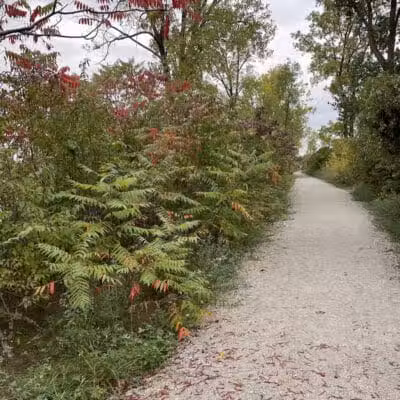Hipster Beach - Detroit,