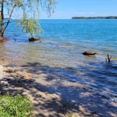 Hipster Beach - Detroit,