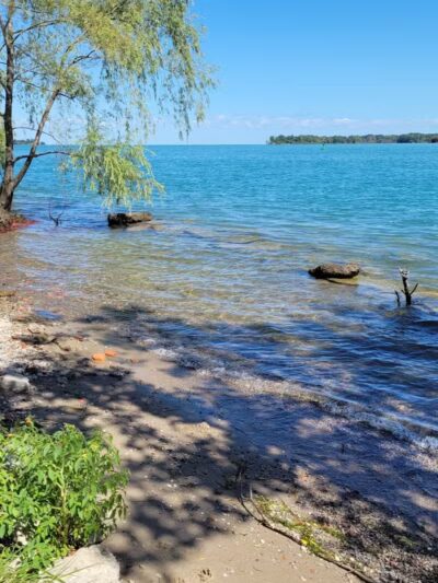Hipster Beach - Detroit,