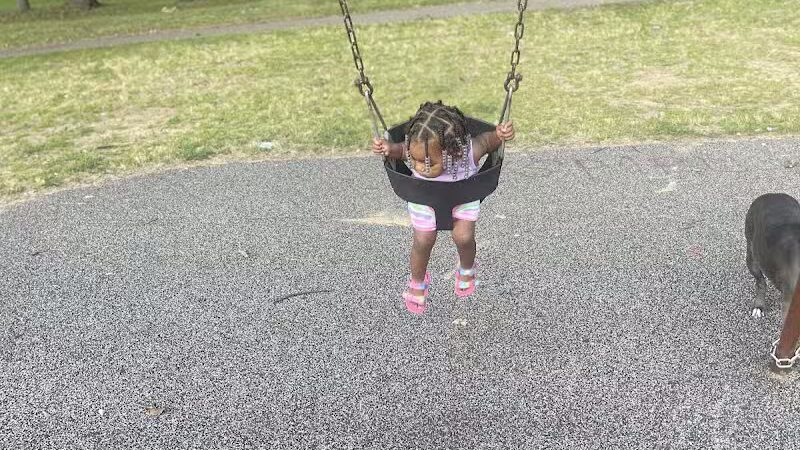 James T Hope Playfield Park - Detroit,